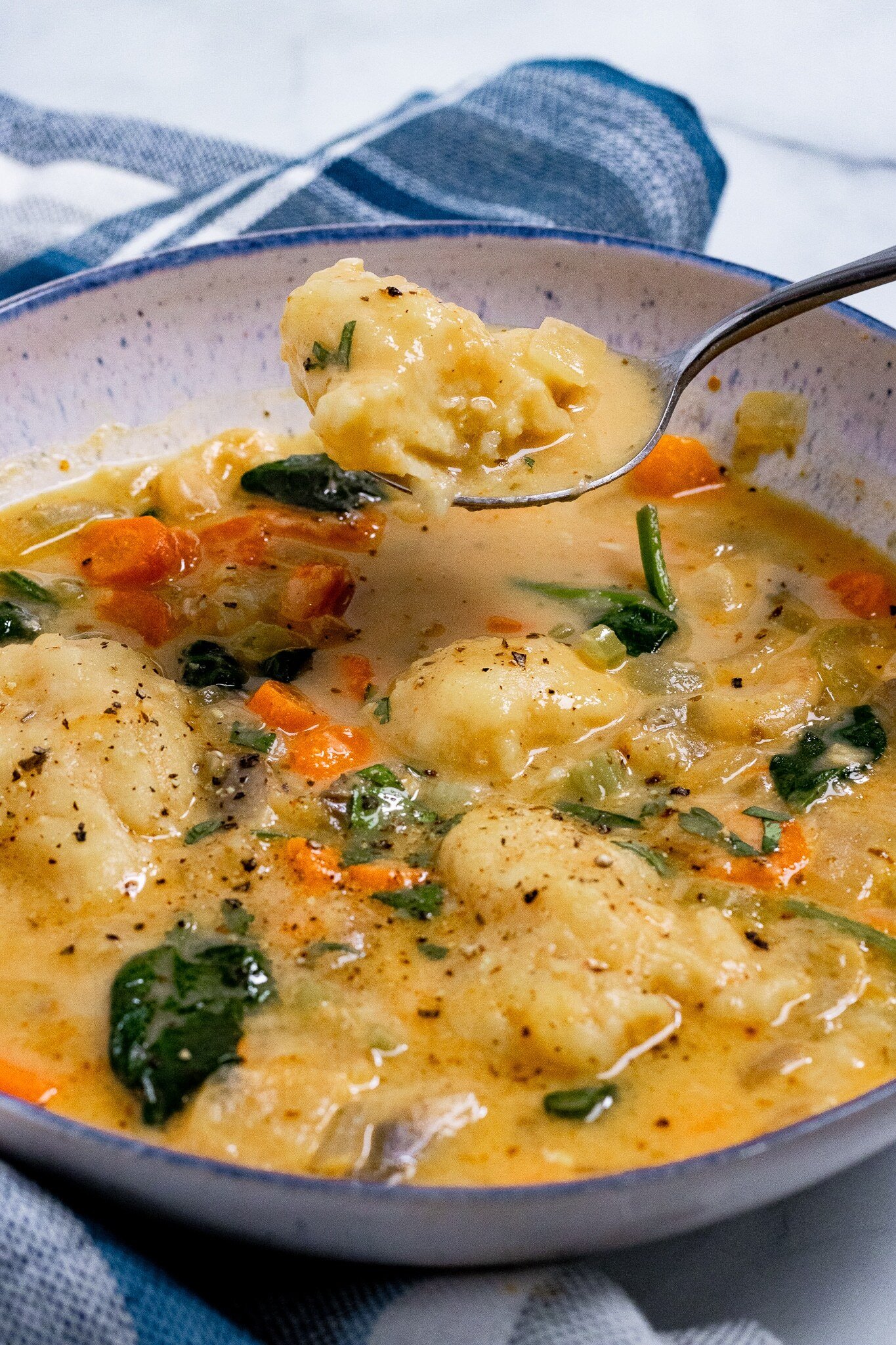 Vegan Stew with Dumplings