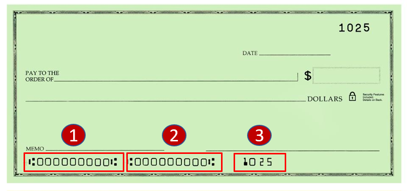 How To Write A Check