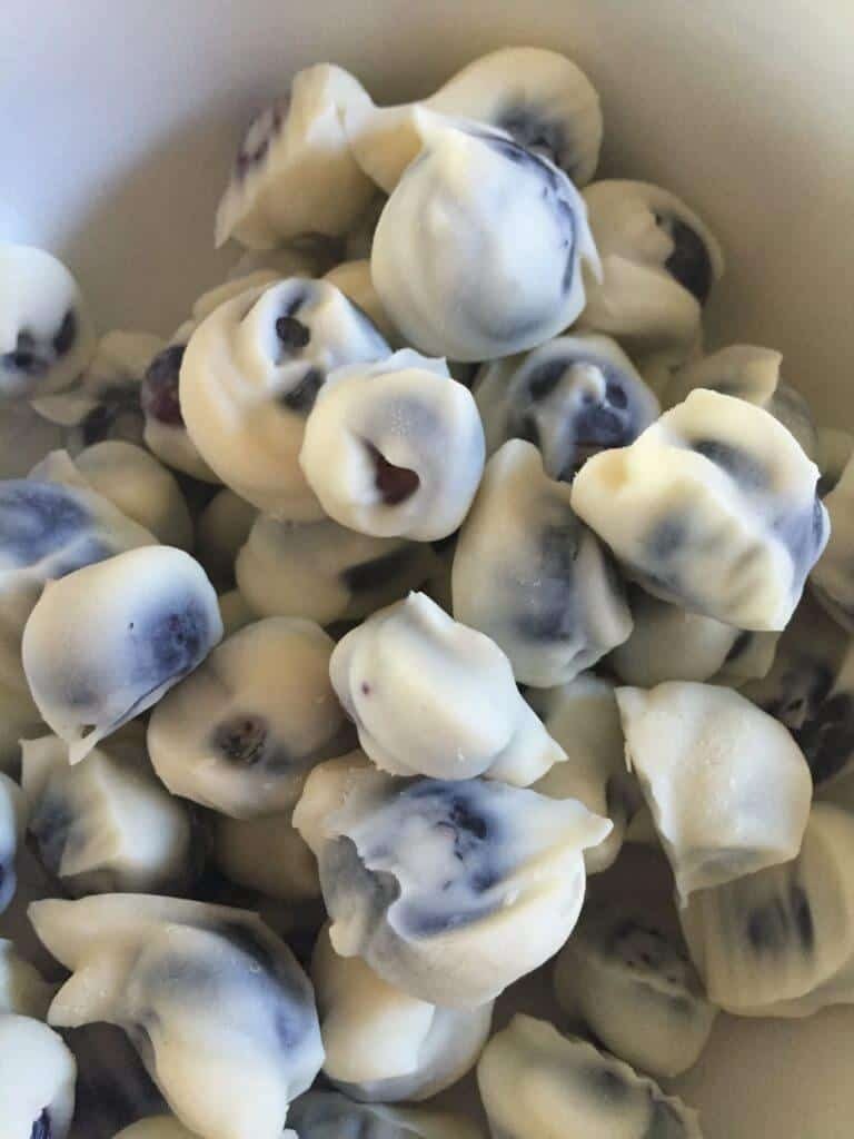 Healthy frozen yogurt covered blueberries
