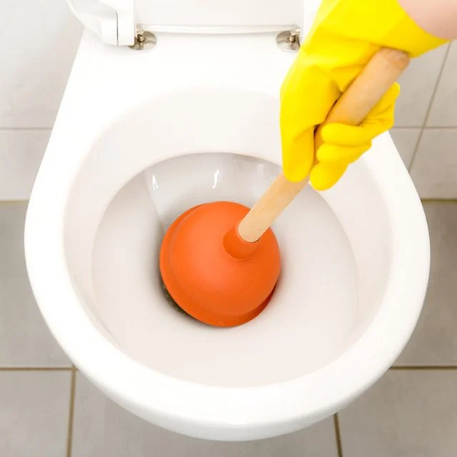 How to unclog a toilet