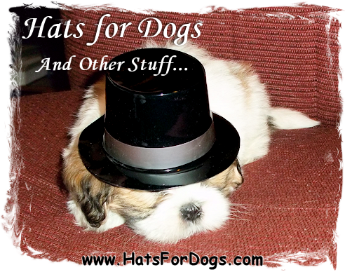 HatsForDogs Coupons